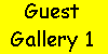Guests Gallery 1