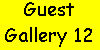 Guests Gallery 12