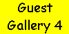 Guests Gallery 4