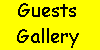 Guest Gallery