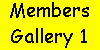 Members Gallery 1