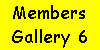 Members Gallery 6